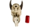Weathered Nilgai Skull: #1: Gallery Item - 15-243-W1-G09 (Y3HRB)