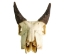 Weathered Nilgai Skull: #2: Gallery Item - 15-243-W2-G09 (Y3HRG)