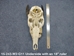 Weathered Nilgai Skull: #2: Gallery Item - 15-243-W2-G11 (Y2P)