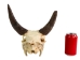 Weathered Nilgai Skull: #2: Gallery Item - 15-243-W2-G12 (Y3HRB)