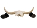 Yak Skull: Gallery Item - 15-256-G02 (Y3B)