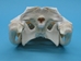 Alligator Skull: #1: Gallery Item - 15-4A14-G14 (Y2P)