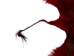 Dyed Springbok Skin: #1: Deep Red: Gallery Item - 155-1-DR-G7458 (Y1FRA)
