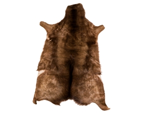 Springbok Skin: #1: Natural Black: Gallery Item 