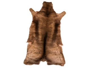 Springbok Skin: #1: Natural Black: Gallery Item 