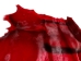 Dyed Springbok Skin: Select Grade: Deep Red: Gallery Item - 155-SEL-DR-G6959 (Y1FRA)