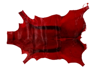 Dyed Springbok Skin: Select Grade: Deep Red: Gallery Item 