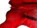 Dyed Springbok Skin: Select Grade: Deep Red: Gallery Item - 155-SEL-DR-G7459 (Y1FRA)