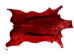 Dyed Springbok Skin: Select Grade: Deep Red: Gallery Item - 155-SEL-DR-G7459 (Y1FRA)