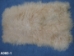 Discounted Tibet Lamb Plate: Dyed Blonde: Gallery Item - 167-ADIS-A060-1 (Y1L)