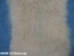 Discounted Tibet Lamb Plate: Dyed Blonde: Gallery Item - 167-ADIS-A060-1 (Y1L)