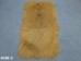 Discounted Tibet Lamb Plate: Dyed Tan/Brown: Gallery Item - 167-ADIS-A068-2 (Y1L)