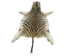 Zebra Skin: Trophy Grade: Gallery Item - 168-T-G107 (Y1LRH)