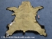 Black Bear Skin with Claws: Gallery Item - 175-30-G35 (Y2ORD)