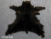 Black Bear Skin with Claws: Gallery Item - 175-30-G35 (Y2ORD)