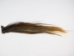 Tanned Horse Tail: Multi Color: Gallery Item - 18-06T-G07 (Y1HRF)