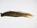 Tanned Horse Tail: Multi Color: Gallery Item - 18-06T-G07 (Y1H)