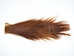 Tanned Horse Tail: Red: Gallery Item - 18-06T-G08 (Y1H)