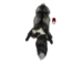 Fashion Quality Silver Fox Skin: Gallery Item - 180-04-FQ-G1429 (Y1KWR)
