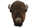 Buffalo Head Mount: Extra-Large: Gallery Item - 20-10-XL-G05EW (Y3K)