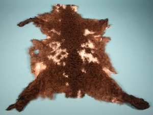 Mongolian Kalgan Lambskin: Gallery Item 