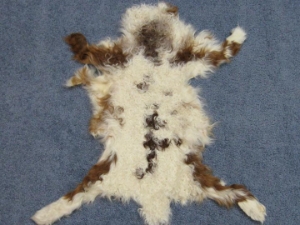 Mongolian Kalgan Lambskin: Gallery Item 