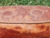 Attikamek Birchbark Rogan/Basket: Gallery Item - 226-G176 (Y3JRD)