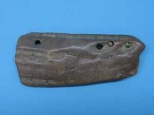Fossil Walrus Ivory Tusk Piece: Gallery Item 