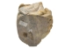 Iroquois Soapstone Carving: Gallery Item - 292-G14EW (Y3KRK)