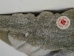 Iroquois Soapstone Carving: Gallery Item - 292-G22 (Y3KRF)
