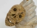 Iroquois Soapstone Carving: Gallery Item - 292-G25 (Y3KRF)