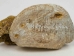 Iroquois Soapstone Carving: Gallery Item - 292-G25 (Y3KRF)