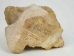 Iroquois Soapstone Carving: Gallery Item - 292-G47 (Y3KRF)