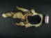 Coyote Mountain Man Hat: Gallery Item - 3-60-G02 (Y2MRD)