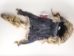 Mountain Man Coyote Hat: Gallery Item - 3-60-G04 (Y2MRD)