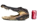 Alligator Head: 15-16&quot;: Gallery Item - 381-10-1516-G03 (Y2P)