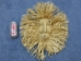 Corn Husk Mask: Gallery Item - 4-12-G2 (10URM4)