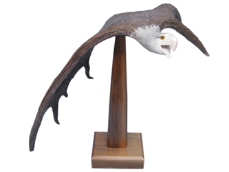 Iroquois Moose Antler Carving by Ron Curley: Eagle in Flight: Gallery Item 