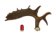 Whole Moose Antler Sheds: #1: Gallery Item - 461-1-G121 (Y2I)