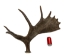 Whole Moose Antler Sheds: #1: Gallery Item - 461-1-G126 (Y2I)