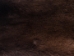 Otter Skin with Feet: Gallery Item - 51-WF-G02 (Y2LWR)