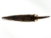 Otter Skin with Feet: Gallery Item - 51-WF-G02 (Y2LWR)