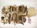 Box of Moose Antler Pieces: Gallery Item - 513-TIP-BX-G01 (Y2DRH)