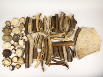 Box of Moose Antler Pieces: Gallery Item 