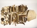 Box of Moose Antler Pieces: Gallery Item - 513-TIP-BX-G01 (Y2D)