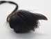 Real Hair-On Black Bear 1-Claw Necklace: Gallery Item - 560-HBC01-G01 (Y2J)