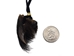 Real Hair-On Black Bear 1-Claw Necklace: Gallery Item - 560-HBC01-G02 (V1)