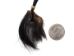 Real Hair-On Black Bear 1-Claw Necklace: Gallery Item - 560-HBC01-G03 (Y2J)