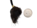 Real Hair-On Black Bear 1-Claw Necklace: Gallery Item - 560-HBC01-G06 (Y2J)