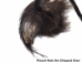Real Hair-On Black Bear 1-Claw Necklace: Gallery Item - 560-HBC01-G06 (Y2J)